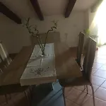 Tajana Novigrad Istria
