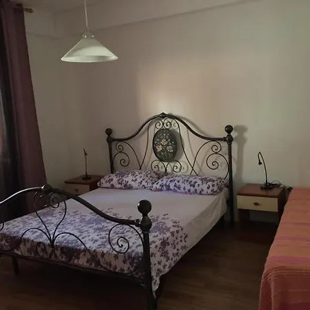 Tajana Novigrad Istria