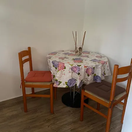 Tajana Novigrad Istria