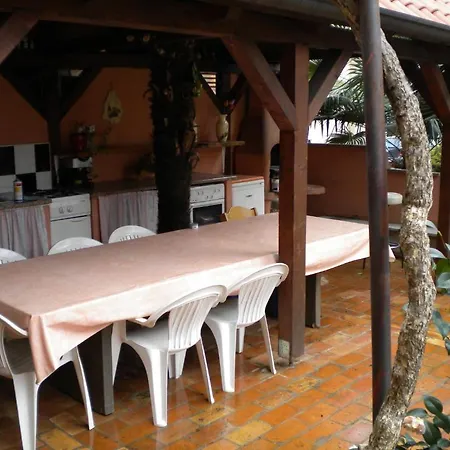 Tajana * Novigrad Istria