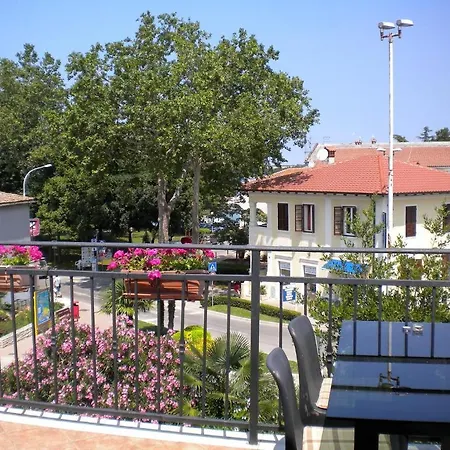 Tajana * Novigrad Istria