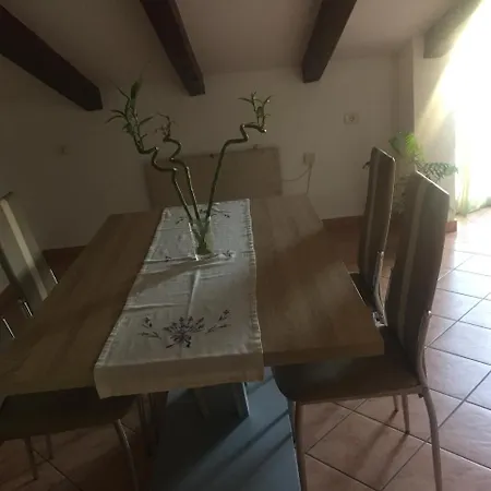 Tajana Novigrad Istria