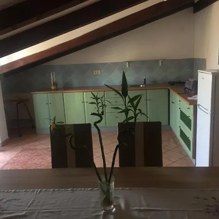 Tajana * Novigrad Istria