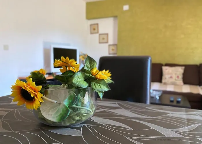 Apartament Tajana Novigrad (Istria)